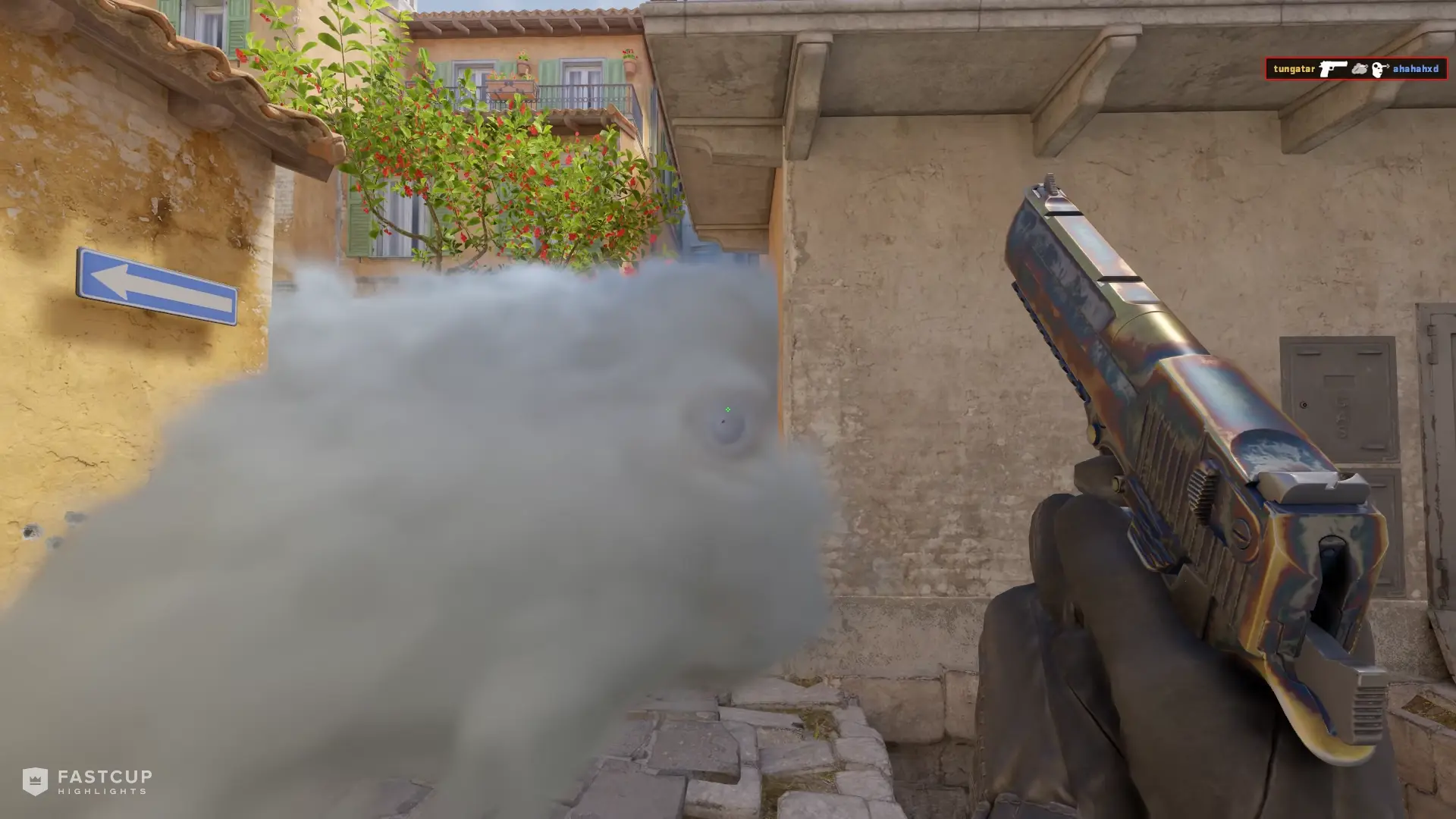 ACE with Desert Eagle and M4A4 | FASTCUP